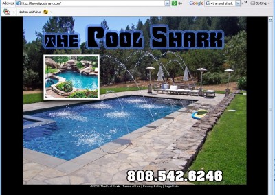 The Pool Shark